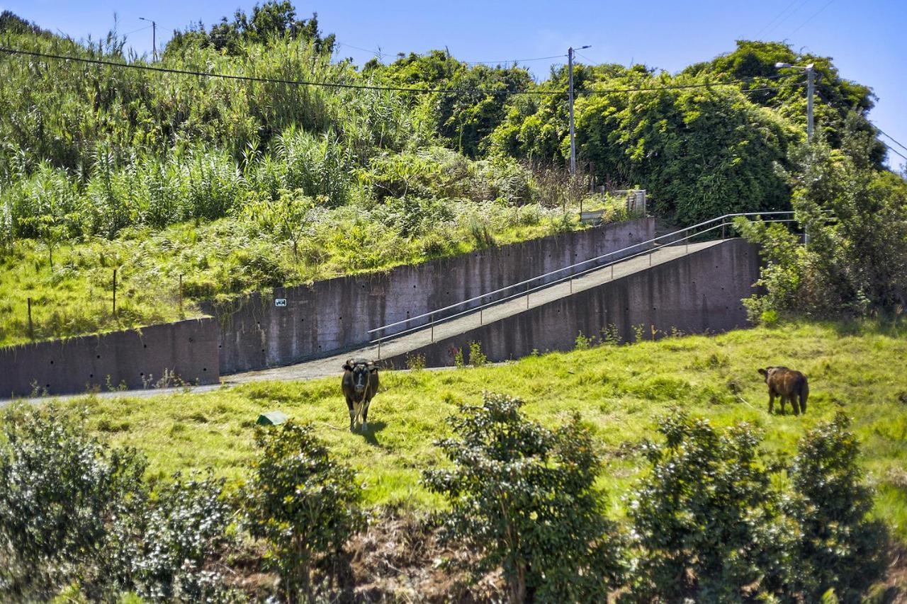 Casa Afonso Na Madeira Villa เซาจอร์จ ภายนอก รูปภาพ